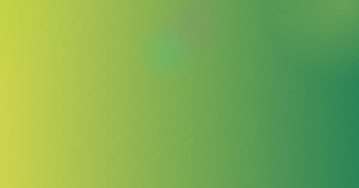 人人插怎么用：实测版